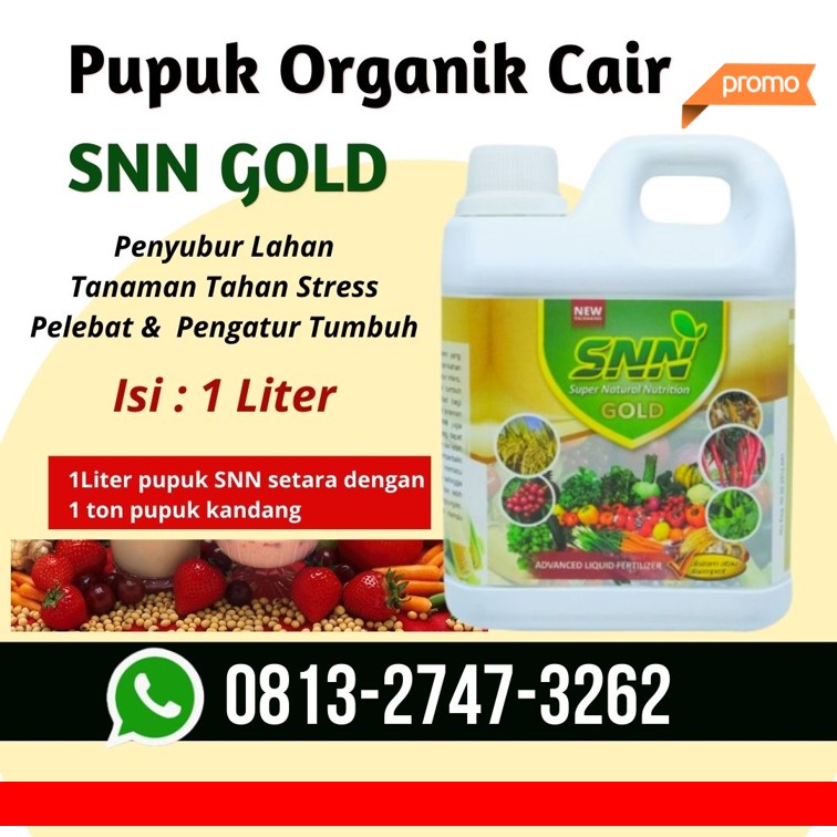 Harga Pupuk Khusus Jeruk Kota Semarang, Grosir Pupuk Khusus Jagung Kota Surakarta, Jual Pupuk Khusus Jahe Kota Tegal, Pabrik Pupuk Khusus Untuk Batang Semarang