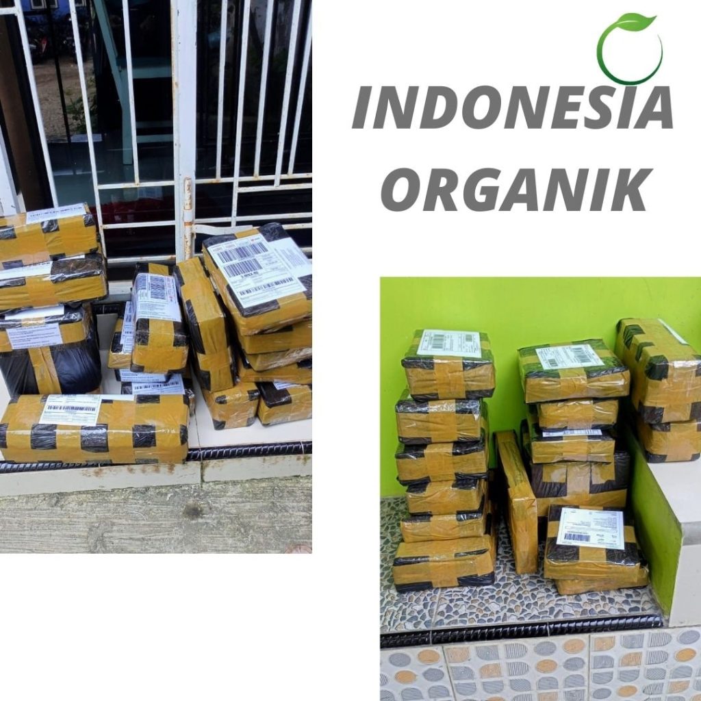  Jual Pupuk Cair Untuk Kacang Hijau Kota Pariamanh, Pabrik Pupuk Tinggi Kalium Sumatera Barat, Agen Pupuk Cair Kalium Tinggi Padang, Harga Pupuk Daun Tinggi Kalium Pesisir Selatan