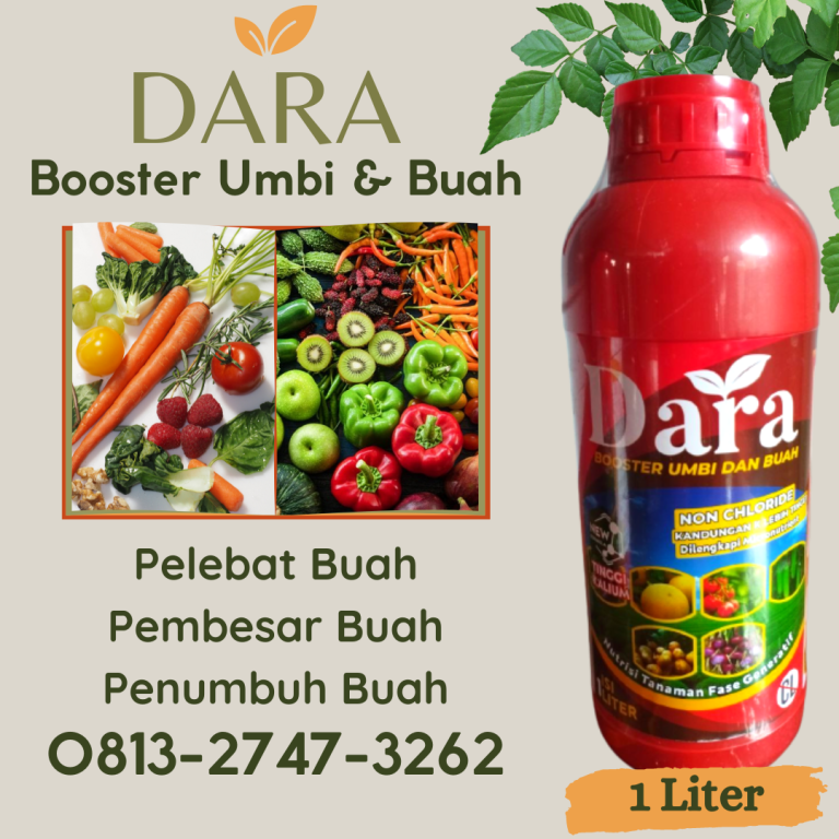 DISKON! 0813-2747-3262, Jual Pupuk Cair Untuk Kacang Hijau Kota Pariamanh, Pabrik Pupuk Tinggi Kalium Sumatera Barat, Agen Pupuk Cair Kalium Tinggi Padang