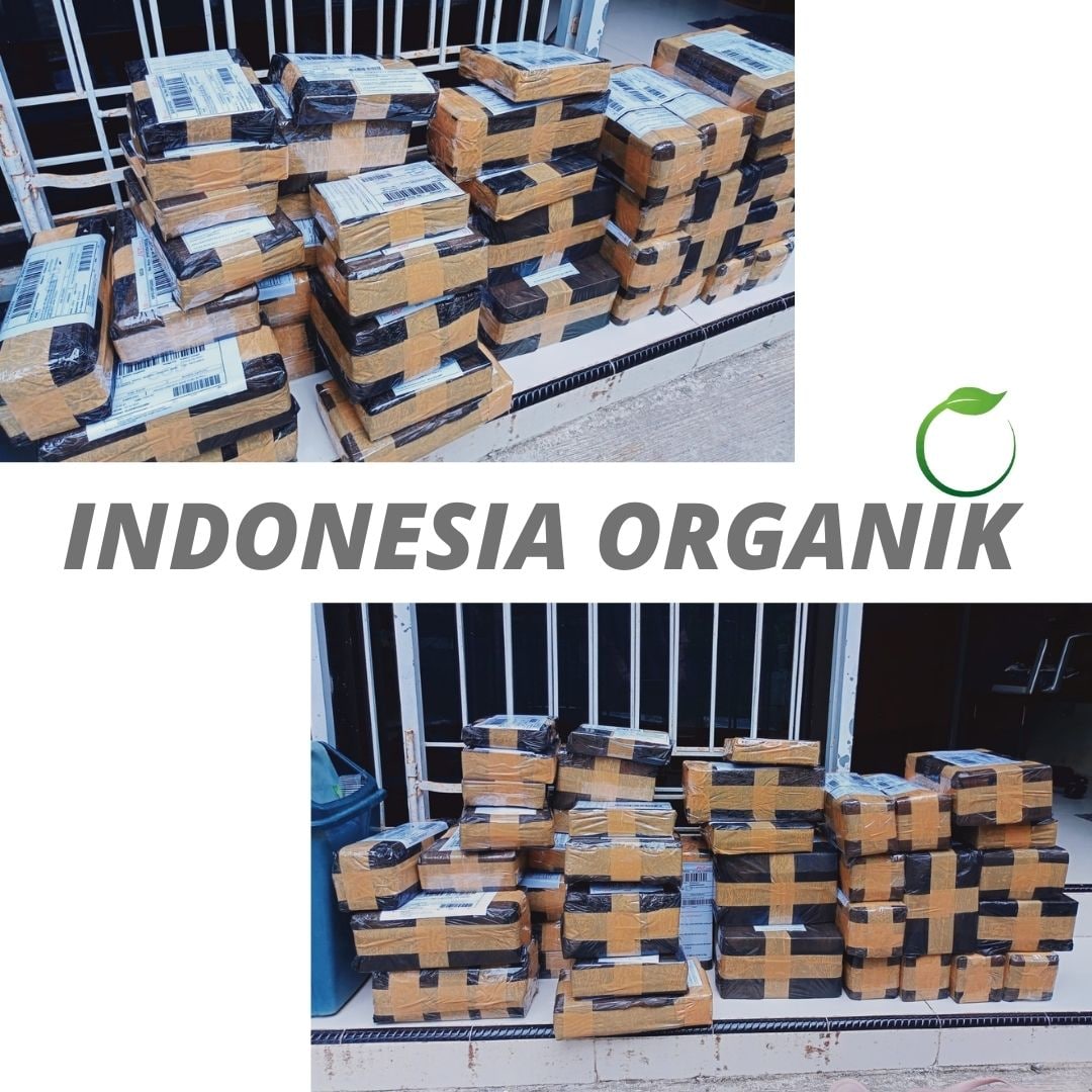  Jual Pupuk Dasar Singkong Tulang Bawang, Pabrik Pupuk Singkong Lampung Tengah, Agen Pupuk Singkong Biar Cepat Besar Lampung Utara, Harga Pupuk Singkong Yang Bagus Lampung Selatan