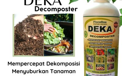 ALAMI! 0812-2882-4834 Produsen Decomposer Pembuatan Kompos Bengkulu Utara, Supplier Pupuk Dekomposer Bengkulu, Suplier Dekomposer Pupuk Organik Bengkulu Selatan