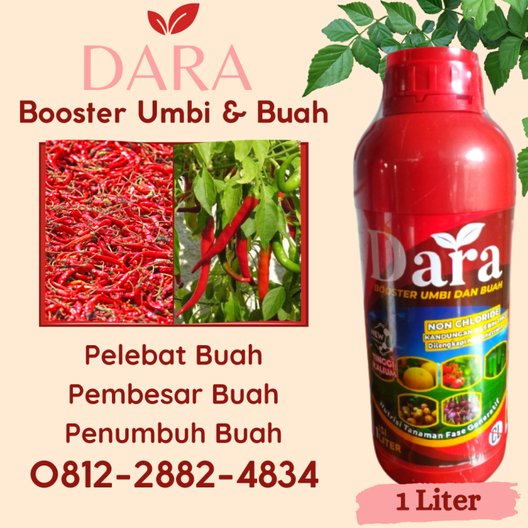 ALAMI! 0812-2882-4834, Produsen Obat Cabe Rontok Bangko, Supplier Obat Cabe Keriting Jambi, Suplier Obat Cabe Daun Keriting Kerinci