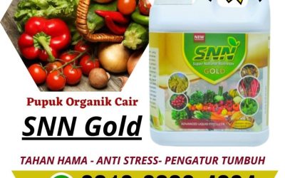 PROMO! 0812-2882-4834, Produsen Pupuk Cair Organik Terbaik Ende, Pabrik Pupuk Cair Organik Untuk Sayuran Ngada, Agen Pupuk Cair Pembesar Buah Bajawa