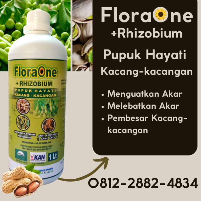 ALAMI! 0812-2882-4834 Produsen Pupuk Kocor Kacang Panjang Minahasa Tenggara, Supplier Pupuk Kacang Bolaang Mongondow, Suplier Pupuk Kacang Tanah Bolaang Mongondow Selatan