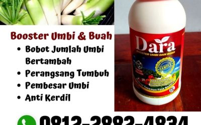 ALAMI! 0812-2882-4834 Produsen Pupuk Umbi Lobak Pasaman, Supplier Pupuk Lobak Agam, Suplier Pupuk Untuk Lobak Dharmasraya
