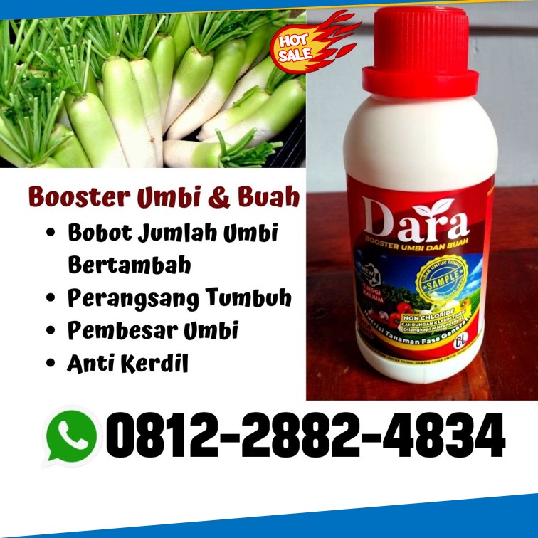 Produsen Pupuk Umbi Lobak Pasaman, Supplier Pupuk Lobak Agam, Suplier Pupuk Untuk Lobak Dharmasraya, Pusat Pupuk Buat Lobak Kepulauan Mentawai