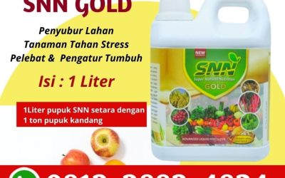 ALAMI! 0812-2882-4834, Produsen Pupuk Untuk Daun Rontok Lewoleba, Supplier Pupuk Organik Cair Bawang Merah Kupang, Suplier Pupuk Organik Cair Buah Oelamasi