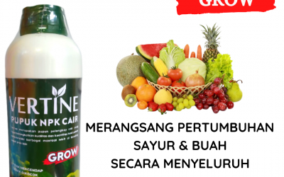 CEGAH LAYU! 0812-2882-4834, Suplier Pupuk Npk Untuk Jambu Air Kerinci, Pusat Pupuk Npk Untuk Bawang Daun Siulak, Distributor Pupuk Npk Untuk Buah Cabe Merangin