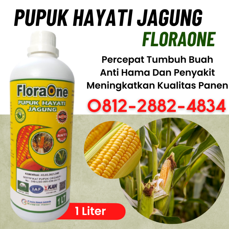 TERBAIK! 0812-2882-4834 Supplier Pupuk Jagung Kocor Parigi Moutong, Suplier Pupuk Untuk Jagung Umur 2 Minggu Poso, Pusat Pupuk Jagung Organik Sigi