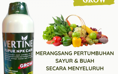 TERLARIS! 0812-2882-4834, Supplier Pupuk Npk Untuk Akar Jambi, Suplier Pupuk Npk Untuk Jambu Air Kerinci, Pusat Pupuk Npk Untuk Bawang Daun Siulak
