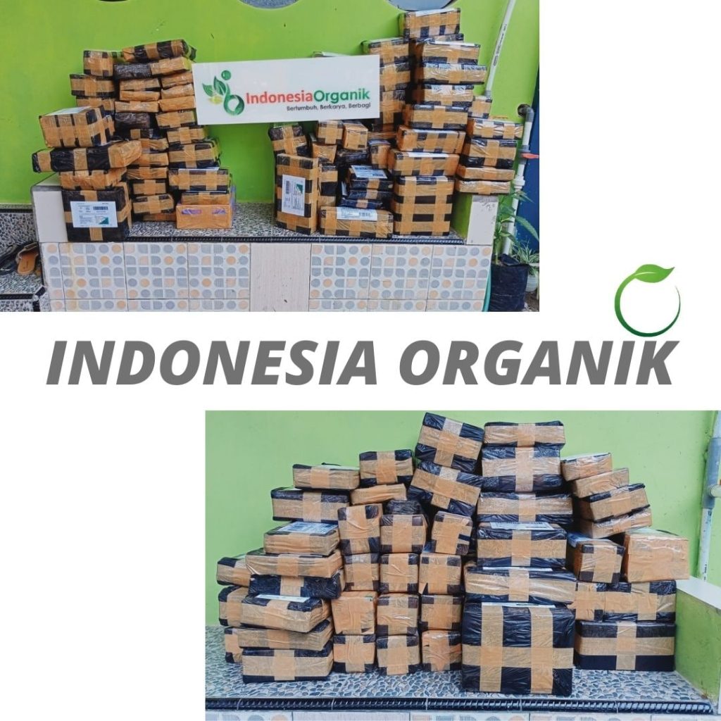 Supplier Pupuk Timun Di Musim Hujan Parigi, Suplier Pupuk Timun Di Musim Kemarau Purwakarta, Pusat Pupuk Kocor Timun Subang, Distributor Pupuk Kocor Mentimun Sukabumi