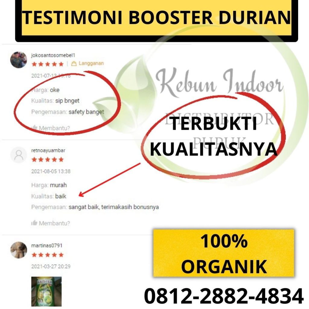 Grosir Pupuk Organik Terbaik Untuk Durian Watang Sidenreng, Jual Pupuk Organik Untuk Durian Montong Pinrang, Supplier Pupuk Durian Daun Kuning Sulawesi Selatan