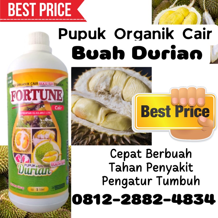 Grosir Pupuk Organik Terbaik Untuk Durian Watang Sidenreng, Jual Pupuk Organik Untuk Durian Montong Pinrang, Supplier Pupuk Durian Daun Kuning Sulawesi Selatan