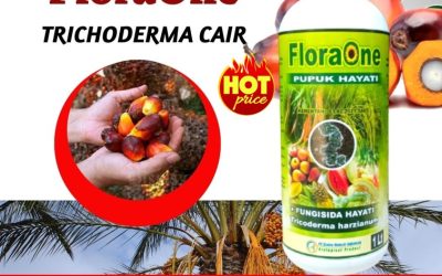CEGAH LAYU! 0813-2747-3262 Jual Fungisida Pencegah Busuk Sawit Penukal Abab Lematang Ilir, Supplier Obat Kelapa Sawit Banyuasin, Suplier Obat Kelapa Sawit Mati Pucuk Empat Lawang