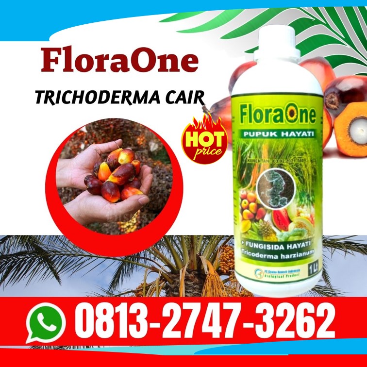 Jual Fungisida Pencegah Busuk Sawit Penukal Abab Lematang Ilir, Supplier Obat Kelapa Sawit Banyuasin, Suplier Obat Kelapa Sawit Mati Pucuk Empat Lawang, Pusat Obat Bercak Daun Kelapa Sawit Lahat