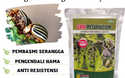 DISKON! 0813-2747-3262, Jual Pembasmi Hama Putih Riau, Pabrik Agensia Hayati Riau, Agen Agensia Hayati Bakteri Pekan Baru