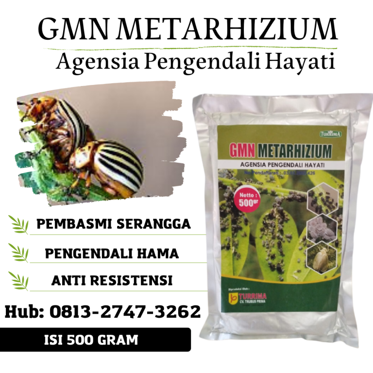 DISKON! 0813-2747-3262, Jual Pembasmi Hama Putih Riau, Pabrik Agensia Hayati Riau, Agen Agensia Hayati Bakteri Pekan Baru