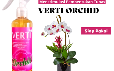 DISKON! 0812-2882-4834, Jual Pupuk Anggrek Dendrobium Wates, Supplier Pupuk Anggrek Siap Pakai Yogyakarta, Suplier Pupuk Anggrek Cepat Berbunga Bantul