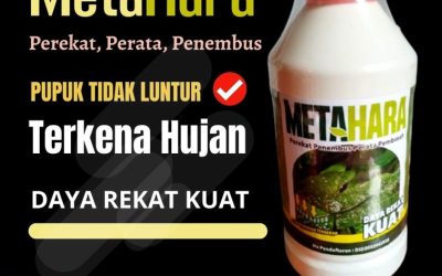 DISKON! 0813-2747-3262 Jual Pupuk Musim Hujan Kota Pariaman, Pabrik Perekat Obat Hama Lebak, Agen Obat Perekat Pestisida Pandeglang