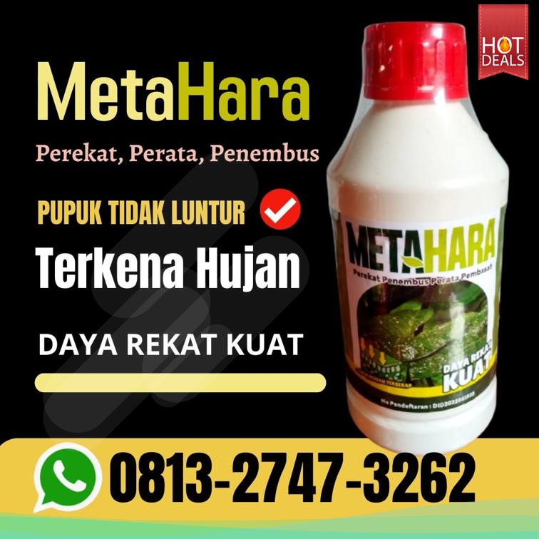  Jual Pupuk Musim Hujan Kota Pariaman, Pabrik Perekat Obat Hama Lebak, Agen Obat Perekat Pestisida Pandeglang, Harga Perekat Obat Semprot Tanaman Serang