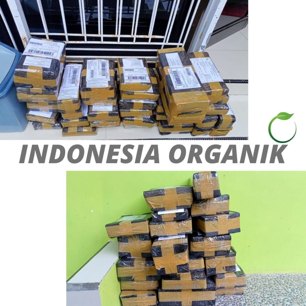 Jual Trichoderma Anti Cabai Busuk Buah Toba Samosir, Pabrik Obat Busuk Buah Pada Kakao Asahan, Agen Obat Cabe Busuk Sebelum Matang Batubara, Harga Obat Cabai Busuk Buah Dairi