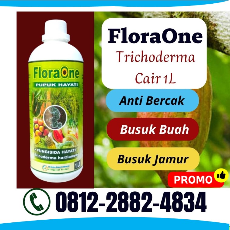 Pabrik Fungisida Anti Busuk Kakao Tulang Bawang Barat, Agen Fungisida Anti Kanker Batang Tanggamus, Harga Fungisida Atasi Hawar Daun Way Kanan, Grosir Fungisida Penyubur Kakao Bandar Lampung, Jual Pupuk Kakao Anti Busuk Daun Metro, Supplier Obat Kakao Lampung Tengah