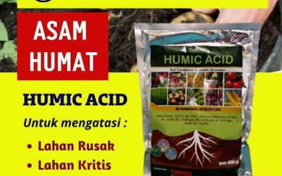 SUBUR! 0813-2747-3262 Pabrik Penyubur Tanaman Bawang Merah Probolinggo, Agen Penyubur Tanaman Bunga Sumenep, Harga Penyubur Tanaman Cabai Kraksaan