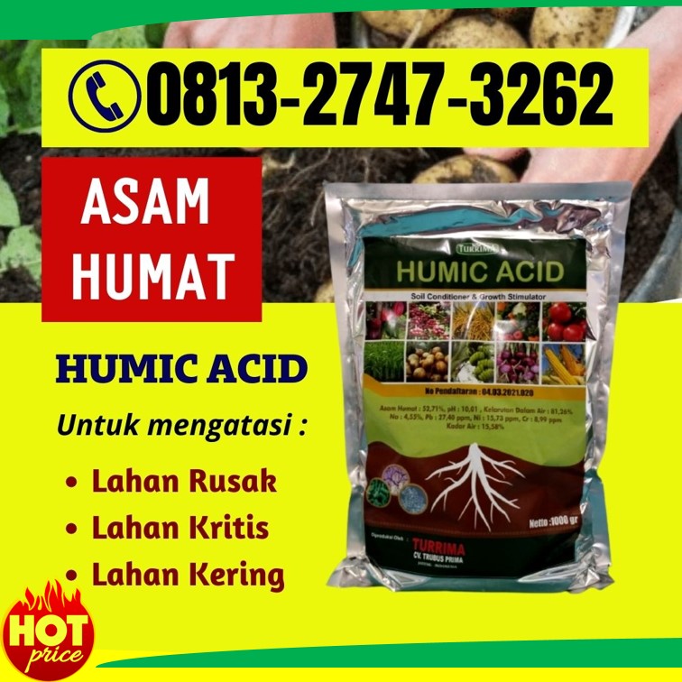 Pabrik Penyubur Tanaman Bawang Merah Probolinggo, Agen Penyubur Tanaman Bunga Sumenep, Harga Penyubur Tanaman Cabai Kraksaan, Grosir Penyubur Tanaman Cengkeh Sidoarjo