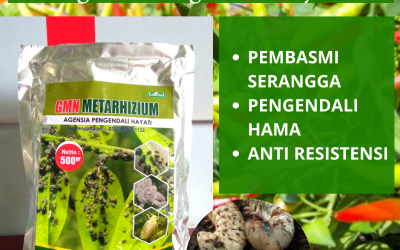 ALAMI! 0812-2882-4834, Produsen Obat Hama Gayas Lembata, Supplier Obat Hama Nusa Tenggara Timur, Suplier Obat Hama Tanaman Kupang