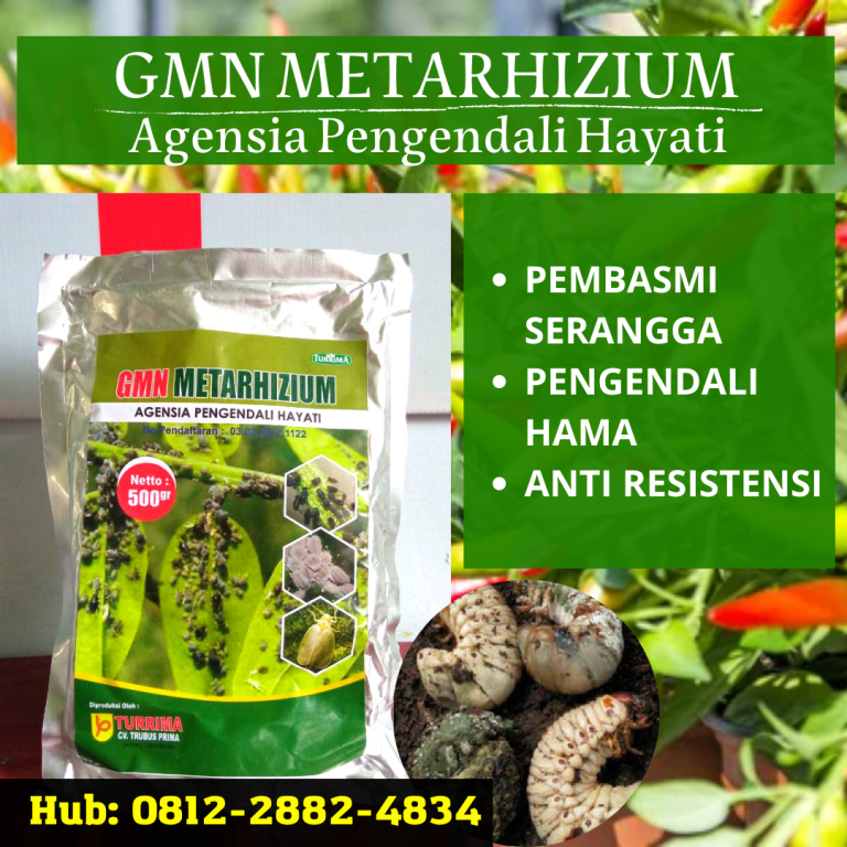 ALAMI! 0812-2882-4834, Produsen Obat Hama Gayas Lembata, Supplier Obat Hama Nusa Tenggara Timur, Suplier Obat Hama Tanaman Kupang