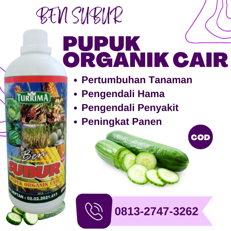 TERBARU! 0813-2747-3262, Supplier Pupuk Timun Di Musim Hujan Parigi, Suplier Pupuk Timun Di Musim Kemarau Purwakarta, Pusat Pupuk Kocor Timun Subang