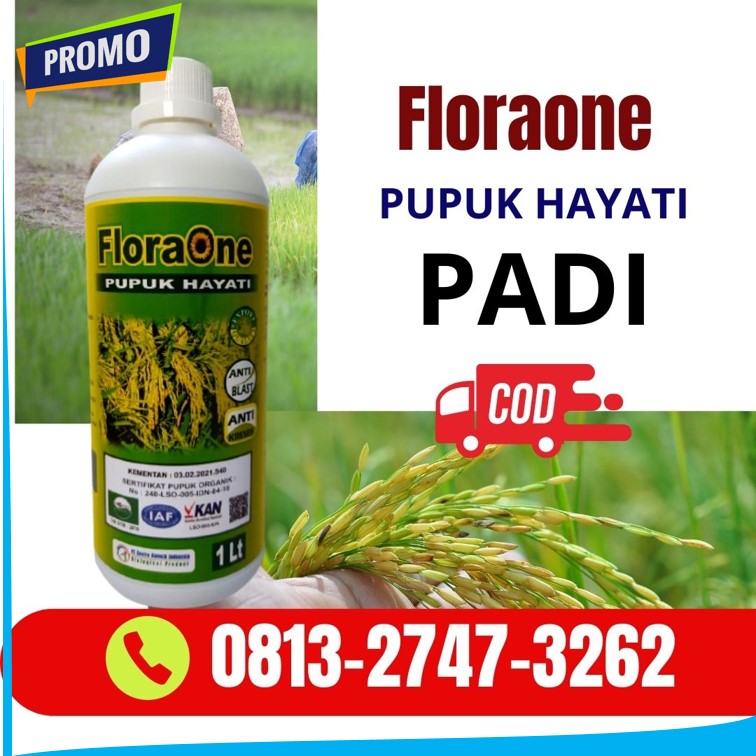 Pabrik Obat Padi Potong Leher Alami Kaur, Agen Obat Padi Paling Bagus Bintuhan, Harga Obat Padi Penggerek Batang Seluma, Grosir Obat Padi Pucuk Daun Kering Tais
