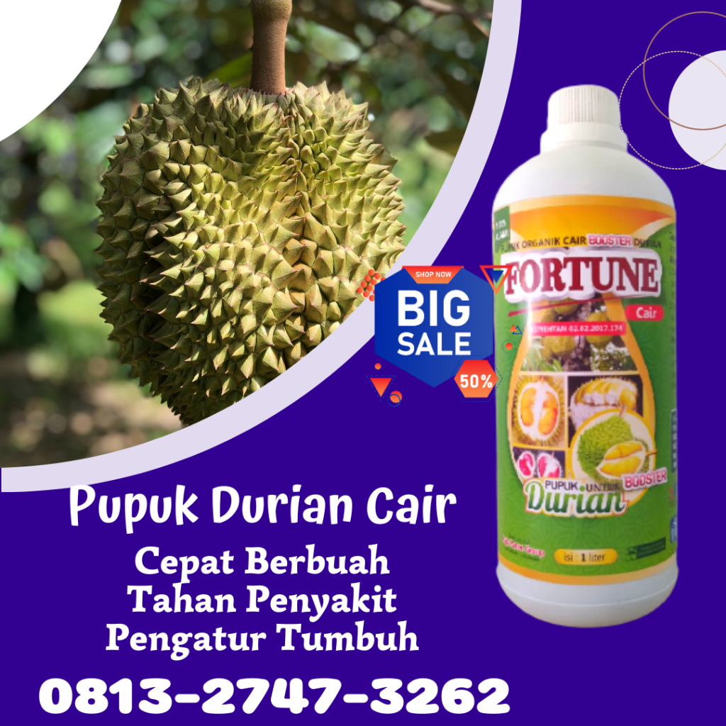 Supplier Pupuk Vegetatif Durian Dharmasraya, Suplier Pupuk Cair Durian Pulau Punjung, Pusat Pupuk Cair Perangsang Buah Durian Solok Selatan, Distributor Pupuk Cair Untuk Durian Padang Aro
