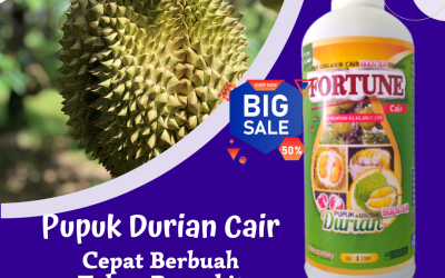 ORGANIK! 0813-2747-3262, Supplier Pupuk Vegetatif Durian Dharmasraya, Suplier Pupuk Cair Durian Pulau Punjung, Pusat Pupuk Cair Perangsang Buah Durian Solok Selatan