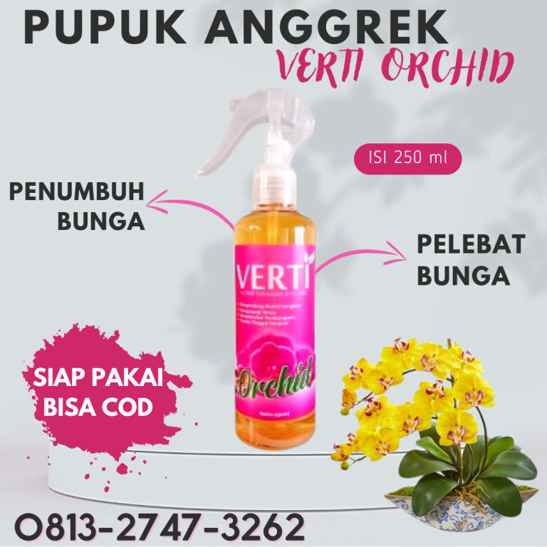 CEGAH LAYU! 0813-2747-3262, Jual Pupuk Anggrek Super Slawi, Supplier Pupuk Bunga Anggrek Murah Semarang, Suplier Pupuk Bunga Anggrek Terbaik Banjarnegara
