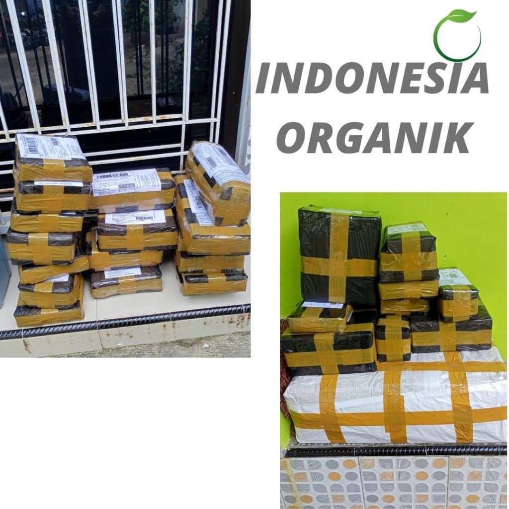 Supplier Pupuk Agar Tanaman Hias Subur Tais, Suplier Pupuk Tanaman Bunga Hias Mukomuko, Pusat Pupuk Tanaman Hias Daun Mukomuko, Distributor Pupuk Daun Tanaman Hias Lebong