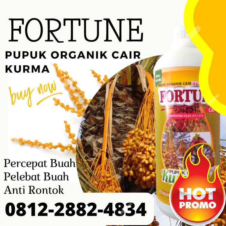 Supplier Pupuk Buah Kurma Sumatera Utara, Suplier Pupuk Perangsang Buah Kurma Medan, Pusat Pupuk Buah Untuk Kurma Tapanuli Tengah, Distributor Pupuk Kurma Agar Cepat Berbuah Pandan, Produsen Pupuk Kurma Cepat Berbuah Tapanuli Utara, Pabrik Pupuk Untuk Pohon Kurma Tarutung, Agen Pupuk Untuk Kurma Tapanuli Selatan, Harga Pupuk Pohon Kurma Sipirok, Grosir Pupuk Booster Kurma Nias, Jual Pupuk Perangsang Buah Kurma Gunungsitoli