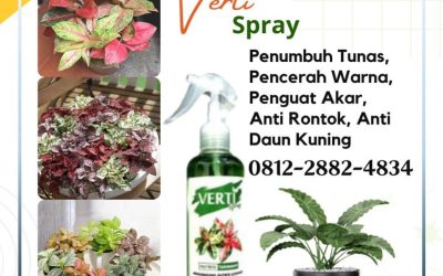 PROMO! 0812-2882-4834, Supplier Pupuk Daun Bengkulu, Suplier Pupuk Akar Dan Pupuk Daun Bengkulu Selatan, Pusat Pupuk Daun Terbaik Kota Manna