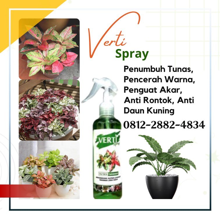 Supplier Pupuk Daun Bengkulu, Suplier Pupuk Akar Dan Pupuk Daun Bengkulu Selatan, Pusat Pupuk Daun Terbaik Kota Manna, Distributor Pupuk Daun Aglonema Rejang Lebong, Produsen Pupuk Daun Anti Keriting Curup, Pabrik Pupuk Daun Alami Bengkulu Utara, Agen Pupuk Daun Anggrek Arga Makmur, Harga Pupuk Daun Bonsai Kaur, Grosir Pupuk Daun Cair Bintuhan, Jual Pupuk Daun Dan Batang Seluma