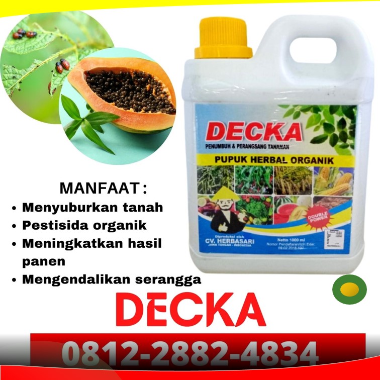 Supplier Pupuk Pepaya Lampung, Suplier Pupuk Pepaya California Lampung Selatan, Pusat Pupuk Pepaya Agar Berbuah Lebat Kalianda, Distributor Pupuk Pepaya Agar Cepat Berbuah Lampung Tengah, Produsen Pupuk Pepaya Agar Tidak Rontok Gunung Sugih, Pabrik Obat Hama Pepaya Kotabumi, Agen Obat Hama Cair Pepaya Lampung Barat, Harga Pembasmi Kutu Putih Pepaya Liwa, Grosir Pembasmi Lalat Buah Tulang Bawang, Jual Pestisida Kutu Sisik Alami Tanggamus