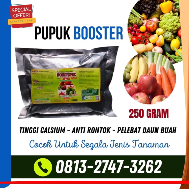 Pusat Pupuk Perangsang Buah Naga Bangkalan, Distributor Perangsang Buah Padi Banyuwangi, Produsen Pupuk Perangsang Buah Rambutan Blitar, Pabrik Pupuk Perangsang Buah Cabe Rawit Kanigoro