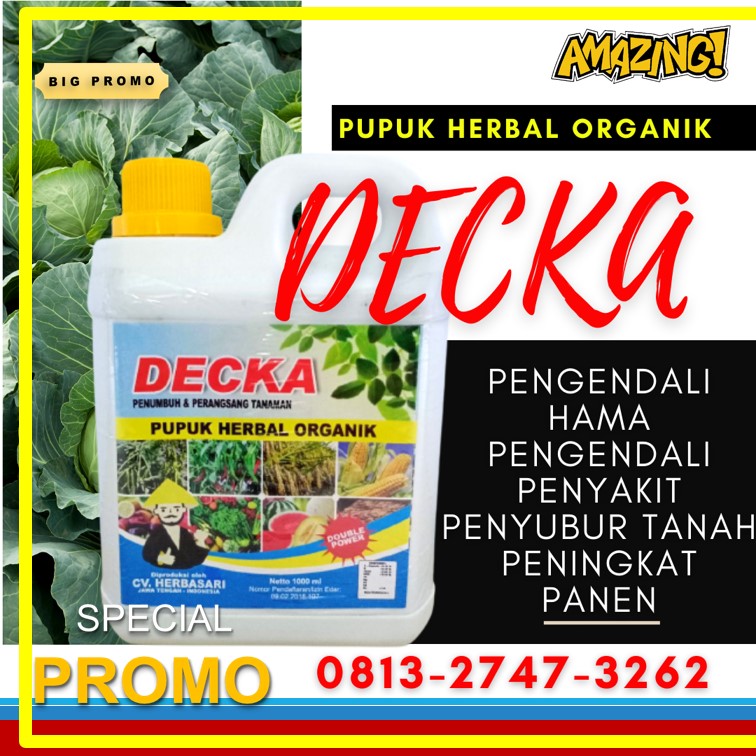 Suplier Pupuk Kubis Musim Hujan Sukabumi, Pusat Pupuk Kubis Yang Bagus Palabuhanratu, Distributor Pupuk Kocor Untuk Kubis Sumedang, Produsen Pupuk Pembesar Buah Kubis Tasikmalaya