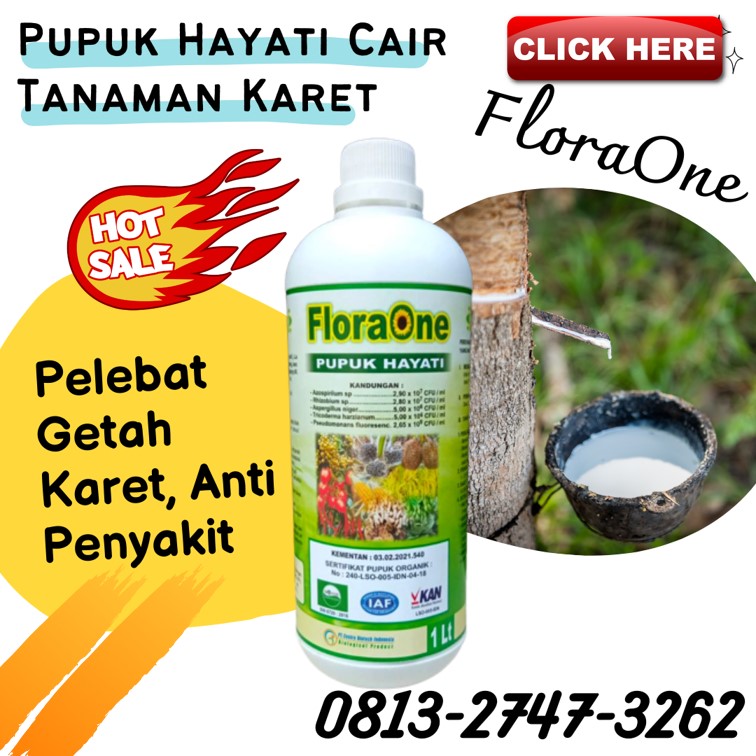 Supplier Pupuk Penyubur Daun Karet Kota Palembang, Suplier Pupuk Penambah Getah Karet Kota Prabumulih, Pusat Pupuk Perangsang Getah Karet Sumatera Selatan, Distributor Pupuk Untuk Meningkatkan Hasil Karet Palembang