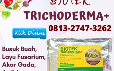 TERLARIS! 0813-2747-3262 Supplier Pengendali Layu Lamongan, Suplier Fungisida Pengendali Layu Fusarium Lumajang, Pusat Pengendali Layu Bakteri Madiun