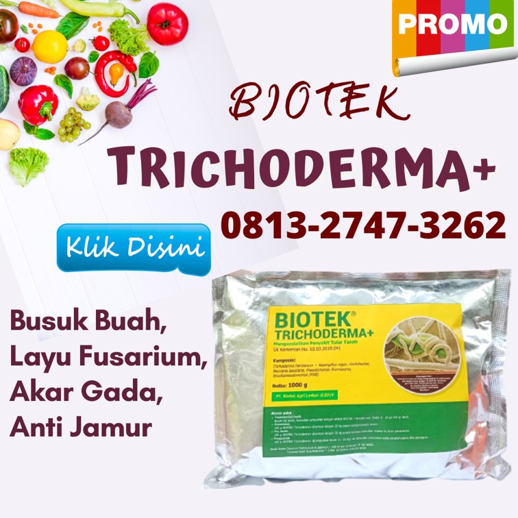Supplier Pengendali Layu Lamongan, Suplier Fungisida Pengendali Layu Fusarium Lumajang, Pusat Pengendali Layu Bakteri Madiun, Distributor Pengendali Penyakit Layu Bakteri Caruban