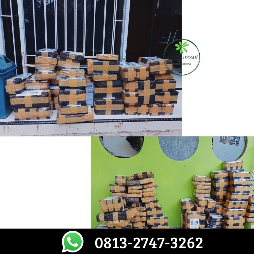 Supplier Pupuk Buah Kentang Tanggamus, Suplier Pupuk Cair Kentang Kota Agung, Distributor Pupuk Cair Untuk Kentang Lampung Timur, Produsen Pupuk Pembesar Umbi Kentang Sukadana, Pabrik Pupuk Tanaman Kentang Way Kanan