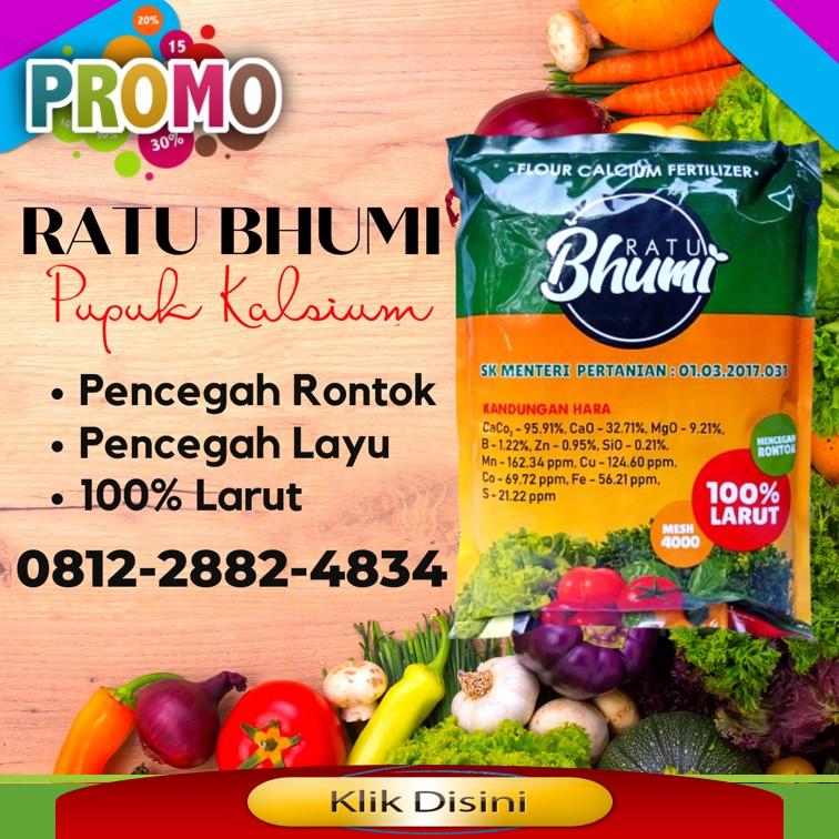Distributor Pupuk Kalsium Untuk Cabe Rawit Banyumas, Produsen Pupuk Kalsium Untuk Cabe Purwokerto, Pabrik Pupuk Kalsium Untuk Durian Batang, Agen Pupuk Kalsium Untuk Tanaman Hias Blora