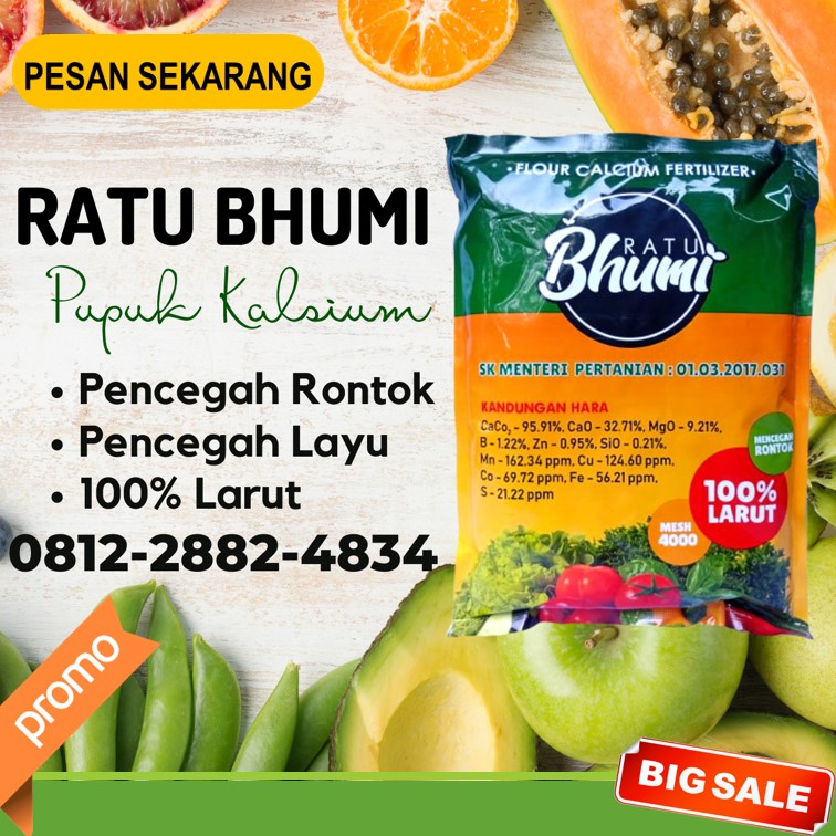  Pabrik Pupuk Kalsium Untuk Durian Batang, Agen Pupuk Kalsium Untuk Tanaman Hias Blora, Harga Pupuk Kalsium Untuk Jagung Boyolali, Grosir Pupuk Kalsium Untuk Jeruk Brebes