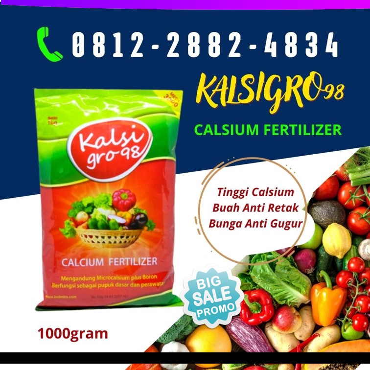 Supplier Pupuk Kalsium Sumatera Utara, Suplier Pupuk Kalsium Boron Medan, Pusat Pupuk Kalsium Untuk Anggur Tapanuli Tengah, Distributor Pupuk Anti Gugur Bunga Tapanuli Utara, Produsen Pupuk Dasar Cabe Tarutung, Pabrik Pupuk Dasar Melon Tapanuli Selatan, Agen Pupuk Dasar Bawang Merah Nias, Harga Pupuk Dasar Anggur Gunungsitoli, Grosir Pupuk Perawatan Langkat