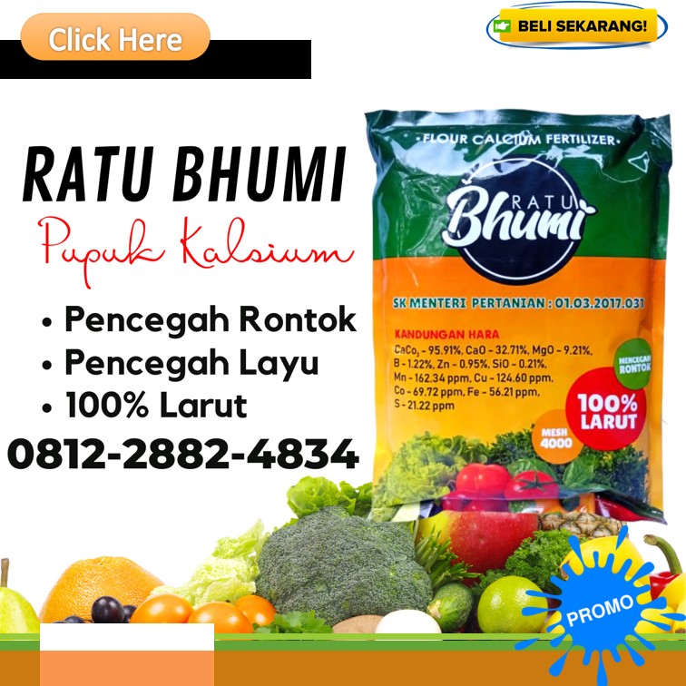 Supplier Pupuk Kalsium Untuk Anggur Jawa Tengah, Suplier Pupuk Kalsium Untuk Bawang Merah Semarang, Pusat Pupuk Kalsium Untuk Buah Banjarnegara, Distributor Pupuk Kalsium Untuk Cabe Rawit Banyumas, Produsen Pupuk Kalsium Untuk Cabe Purwokerto, Pabrik Pupuk Kalsium Untuk Durian Batang, 